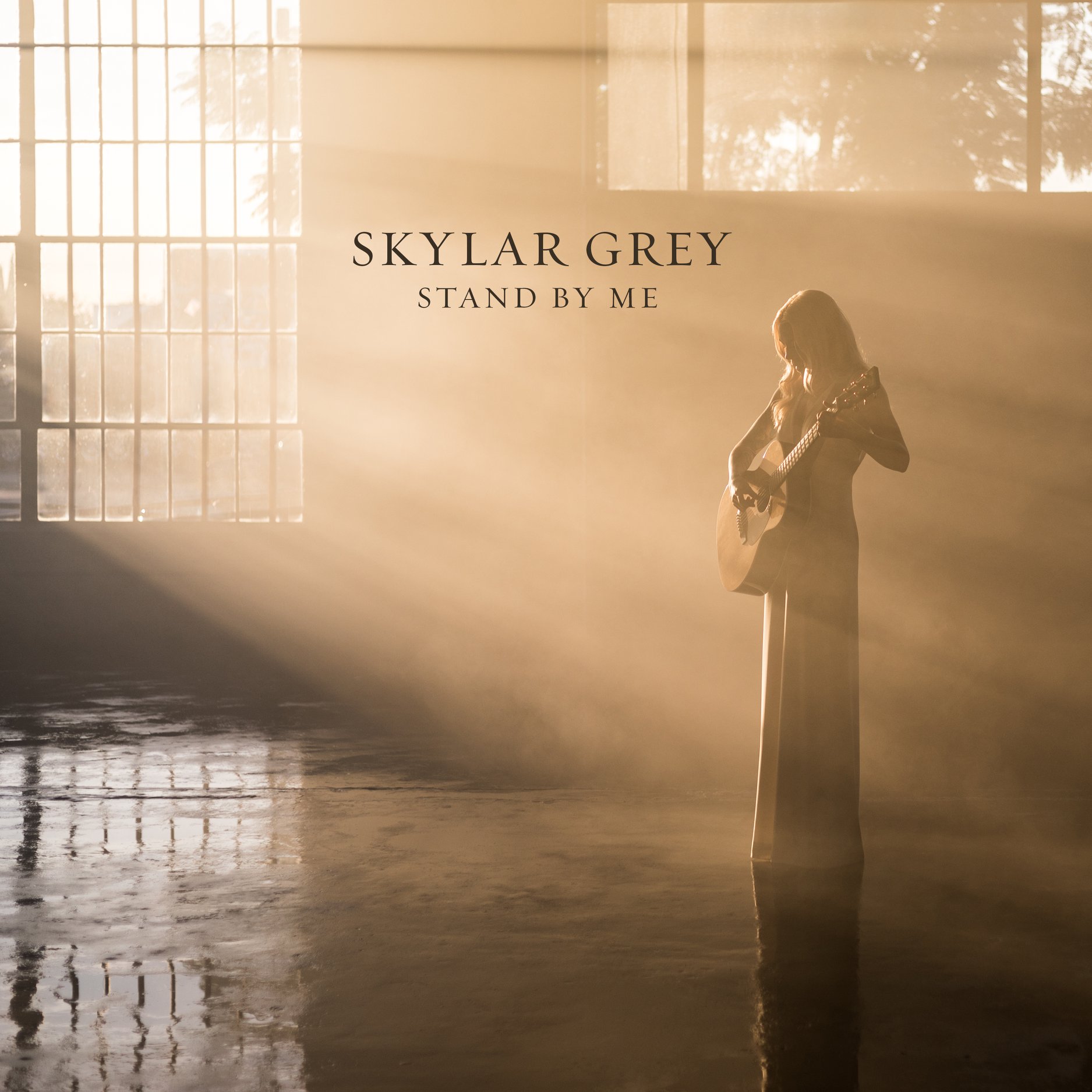 Grey песня. Skylar Grey Stand by me. Скайлар грей last one standing. Album Скайлар грей. Skylar Grey albums.