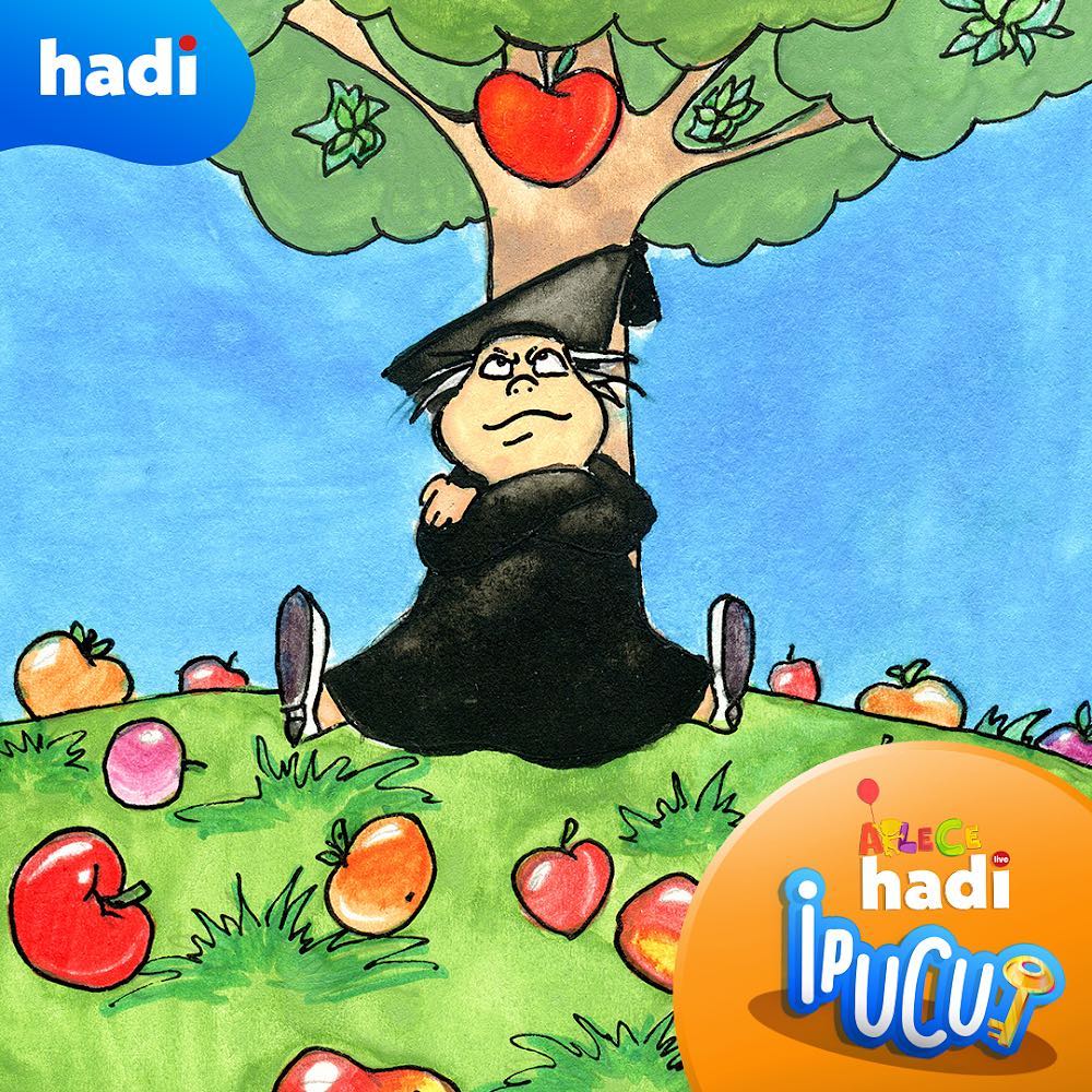 Hadi